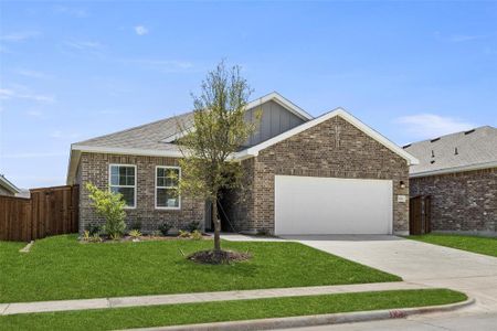 Gateway Parks by Starlight Homes in Forney - photo 11 11