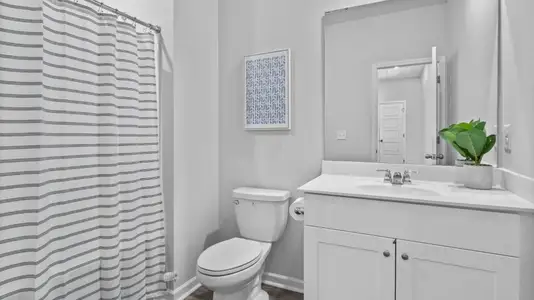 Wood Stork Landing: American Dream Series 20