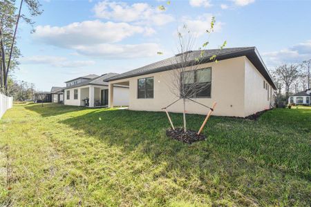 New construction Single-Family house 11512 Weaver Hollow Rd, New Port Richey, FL 34654 null- photo 54 54