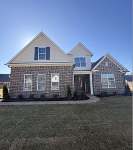 New construction Single-Family house 5061 Fairy Mdws, Arlington, TN 38002 plan Elmsgate - image