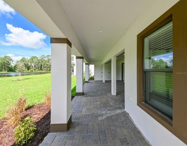 New construction Single-Family house 33750 Ocean Spray Ln, Wesley Chapel, FL 33543 Patterson- photo 50 50