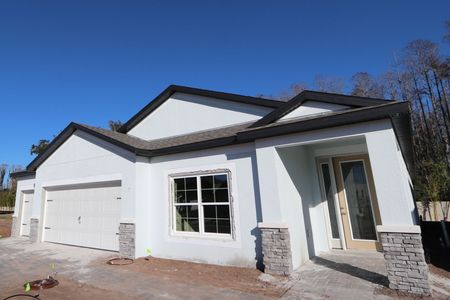 New construction Single-Family house 20339 Oriana Loop, Land O' Lakes, FL 34638 Newport II- photo 88 88