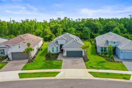 New construction Single-Family house 29719 Cassino Ct, Wesley Chapel, FL 33543 - image