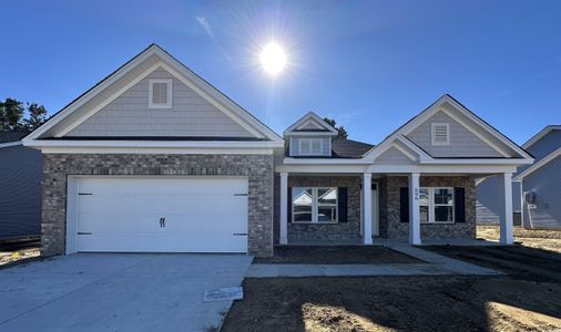 New construction Single-Family house 896 Birch Garden Dr, Longs, SC 29568 plan Wisteria II - image