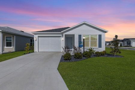 New construction Single-Family house 1535 Pj Martin Ct, The Villages, FL 32163 - image