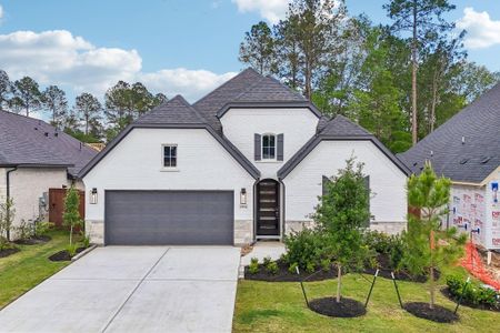 New construction Single-Family house 29756 Brushy Gables Dr, Magnolia, TX 77354 plan 4046 Elevation D - image