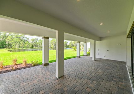 New construction Single-Family house 33750 Ocean Spray Ln, Wesley Chapel, FL 33543 Patterson- photo 48 48