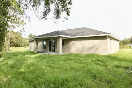 New construction Single-Family house 194 Malauka Run, Ocklawaha, FL 32179 - image
