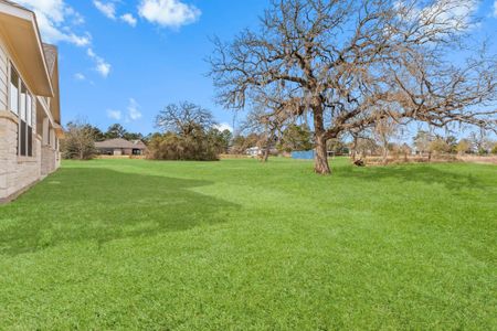 New construction Single-Family house 25128 Grace Vista Wy, Montgomery, TX 77356 plan 3458 Plan - image 17