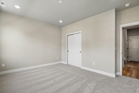 New construction Single-Family house 3041 Curly Grove, Colorado Springs, CO 80922 plan Clover - image 14