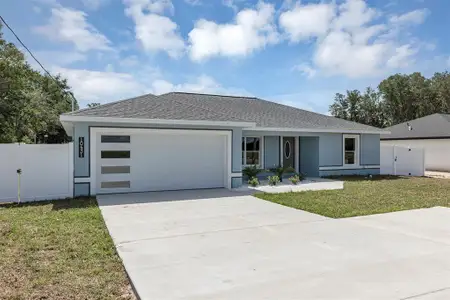 New construction Single-Family house 10431 Sw 140Th Ave, Dunnellon, FL 34432 - image