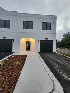 New construction Townhouse house 4372 Cambio Gardens Ct, Tampa, FL 33610 - image