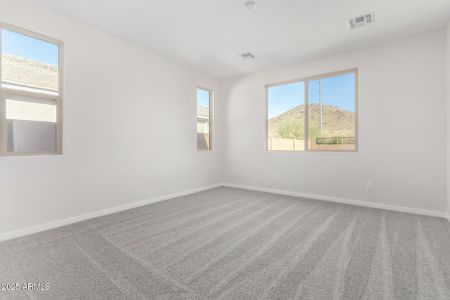 New construction Single-Family house 11519 S 50Th Ave, Laveen, AZ 85339 Elderberry- photo 15 15