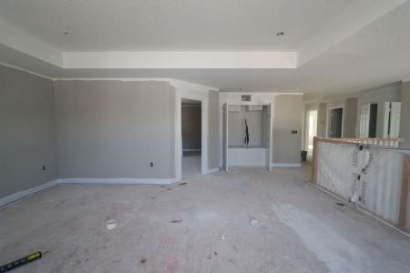 New construction Single-Family house 2350 Clary Sage Dr, Spring Hill, FL 34609 Sonoma II- photo 60 60