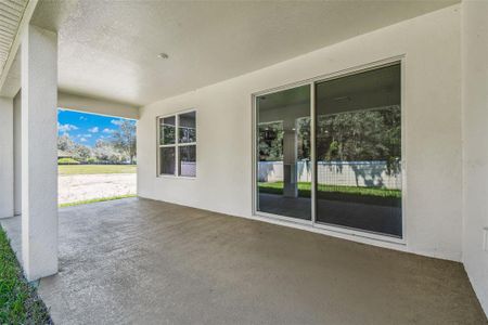 New construction Single-Family house 19679 Fort King Run, Brooksville, FL 34601 - image 4