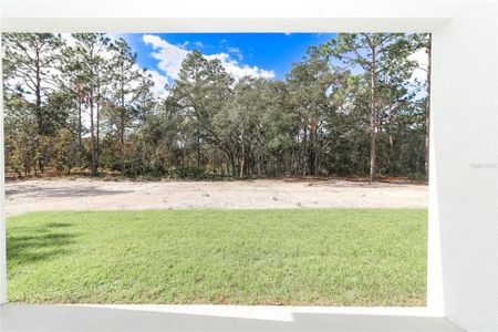 New construction Single-Family house 12321 Sw 76Th Ln, Dunnellon, FL 34432 null- photo 42 42