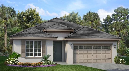 New construction Single-Family house 2366 Wise River Ln, Zephyrhills, FL 33541 plan Hampton II - image