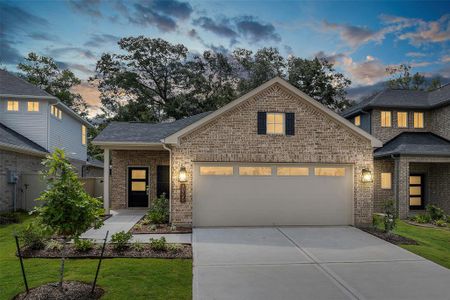 Beautiful 1 Story Darlington Floor Plan with 3 Bedrooms, 2 Baths, with a 2 Car Garage. This floor plan boasts a SPACIOUS OPEN CONCEPT FLOOR PLAN and HIGH CEILINGS with the Family Room, Kitchen, Breakfast Room, and 3 Bedrooms with 2 full Baths. Tile and Carpet. You will love the Kitchen with lots of cabinets and granite countertops with under the cabinet lighting, stainless steel appliances, and even a USB outlet.