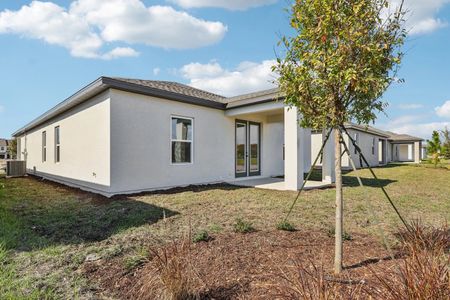 New construction Single-Family house 2349 Broadwing St, Kissimmee, FL 34746 plan Badland - image 15