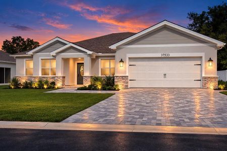 New construction Single-Family house 37533 Teri Ct, Dade City, FL 33525 - image