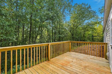 New construction Single-Family house 188 April Trce, Dawsonville, GA 30534 - image