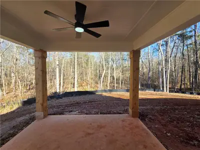 New construction Single-Family house 176 Paige St, Dallas, GA 30132 - image