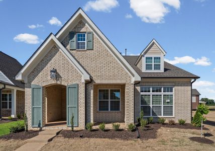 New construction Single-Family house 10250 Louanne, Collierville, TN 38017 plan Harper - image