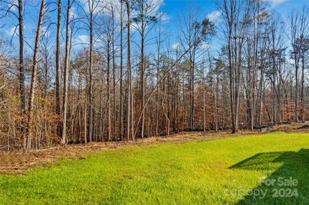 New construction Single-Family house 746 Whites Farm Rd, Statesville, NC 28625 null- photo 37 37