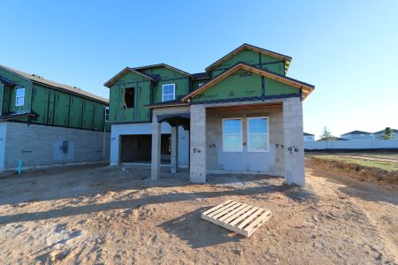 New construction Single-Family house 38326 Tobiano Loop, Dade City, FL 33525 Casanova- photo 25 25