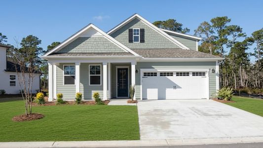 New construction Single-Family house 8640 Blue Haw Wy, Leland, NC 28451 plan Bradford - image