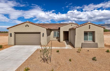 New construction Single-Family house 13461 E Red Juniper Wy, Tucson, AZ 85747 plan Serenity - image