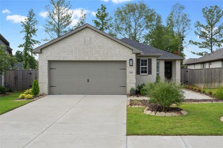 New construction Single-Family house 110 Passion Flower Cove, Montgomery, TX 77316 - photo 0