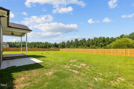 New construction Single-Family house 140 Hazelwood Road, Lillington, NC 27546 Sweetspire- photo 5 5