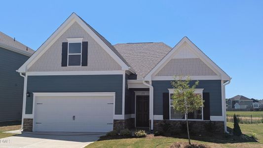 New construction Single-Family house 250 Ambassador Dr, Clayton, NC 27520 - image