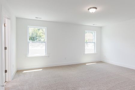 New construction Single-Family house 27 Cypress Moss Ct, Lillington, NC 27546 plan Summit - image 10