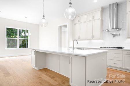 New construction Single-Family house 1069 Sage Pine Cir, Clover, SC 29710 - image 17