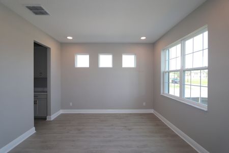 New construction Single-Family house 1787 Drummond Pt, Zephyrhills, FL 33541 Sonoma II- photo 137 137