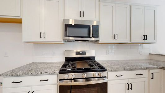 New construction Single-Family house 175 Independence Blvd, Newport, NC 28570 plan Catherine A - image 10