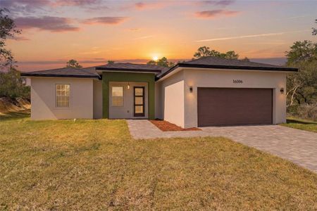 New construction Single-Family house 16596 Sw 31St Cir, Ocala, FL 34473 - image