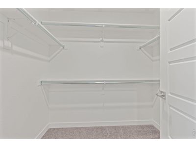 New construction Duplex house 165 Washington St, Erie, CO 80516 - image 10