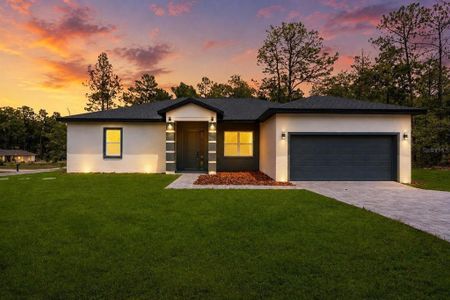New construction Single-Family house 1318 W Dupont Dr, Dunnellon, FL 34434 - image