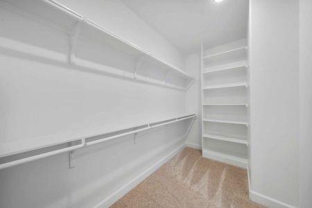 New construction Single-Family house Houston, TX 77006 plan Amsterdam - image 10