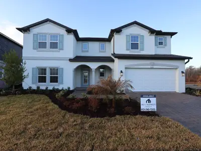 New construction Single-Family house 31165 Hayman Lp, Wesley Chapel, FL 33545 plan Palazzo - image