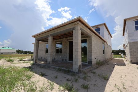 New construction Single-Family house 2855 Sweetgrass Ln, Zellwood, FL 32798 plan Cambria - image