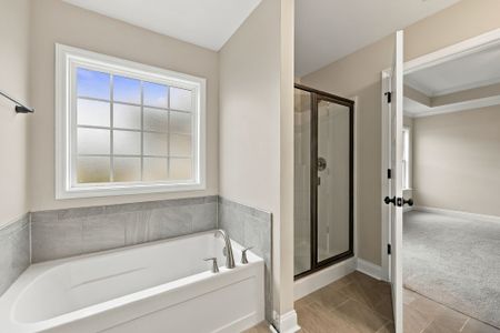 New construction Single-Family house 336 Gerbera Ct, Greenville, NC 27858 plan Sumner - image 13