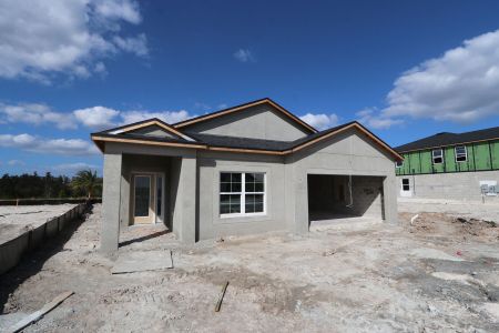 New construction Single-Family house 31229 Denham Ridge Ln, Wesley Chapel, FL 33545 Newport II- photo 10 10