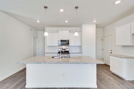 New construction Single-Family house 18039 Dandy Brush Ln, Parker, CO 80134 ELM- photo 12 12