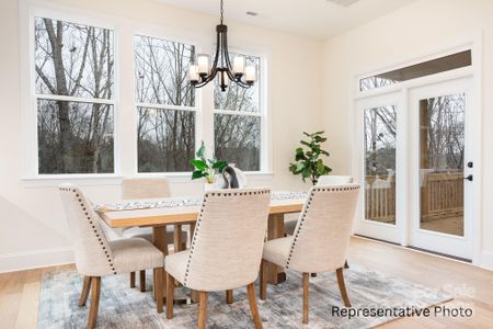 New construction Single-Family house 1059 Sage Pine Cir, Clover, SC 29710 - image 19