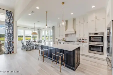 New construction Single-Family house 95439 Golden Glow Dr, Fernandina Beach, FL 32034 plan Ortega - image 9