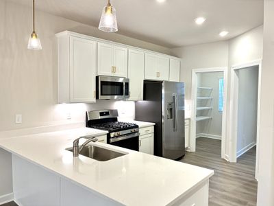 New construction Single-Family house 237 Taylor Woods Ct, Greenville, SC 29607 plan The Princeton A - image 7